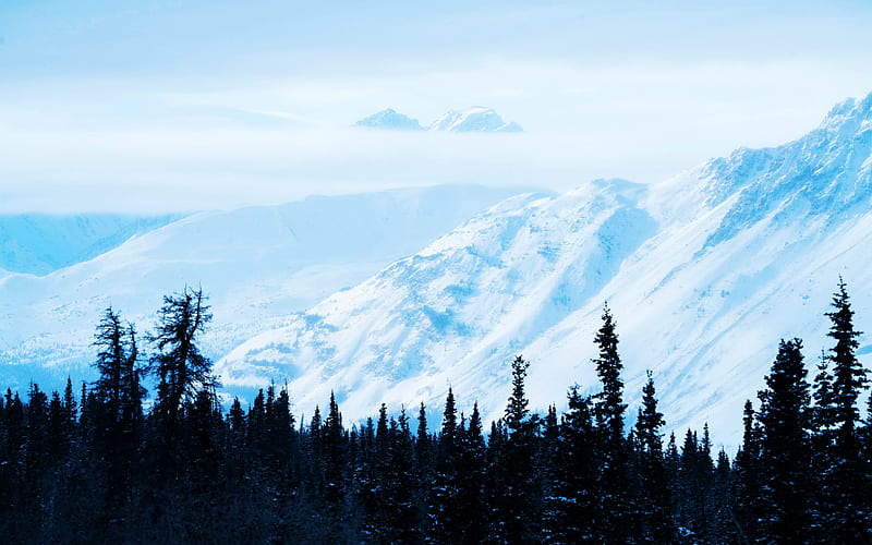Kluane National Park, Yukon, Canada, sky, snow, trees, mountains, HD wallpaper