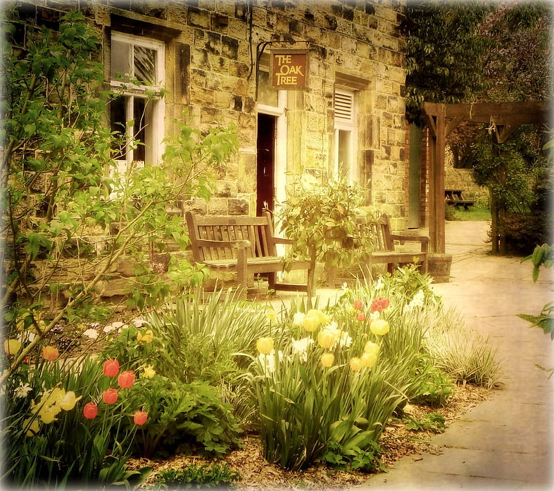 The Oak Tree Cafe, cafe, stone house, flowers garden, benches, spring, oak tree, old, HD wallpaper