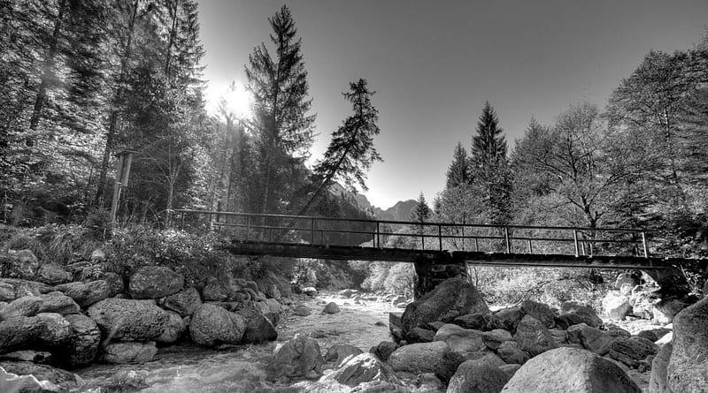 footbridge over rocky river in BW, mountain, forest, rocks, bridge, river, BW, HD wallpaper