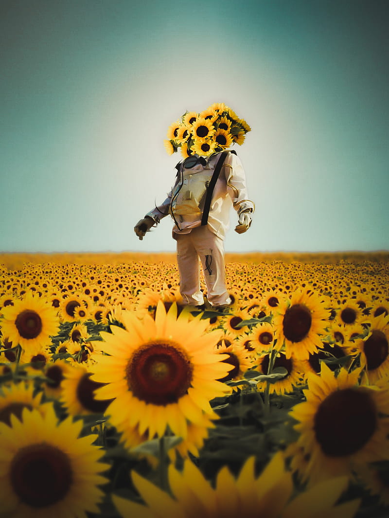 Astroflower, astronaut, bonito, flower, flowers, sunflower, HD phone wallpaper
