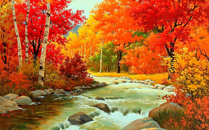 Autumn River, Trees, Stones, Autumn, River, Forest, HD wallpaper