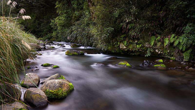 river, stones, stream, grass, moss, HD wallpaper