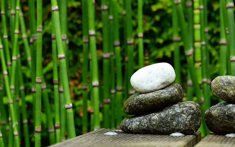 Stone stacked green bamboo forest, HD wallpaper