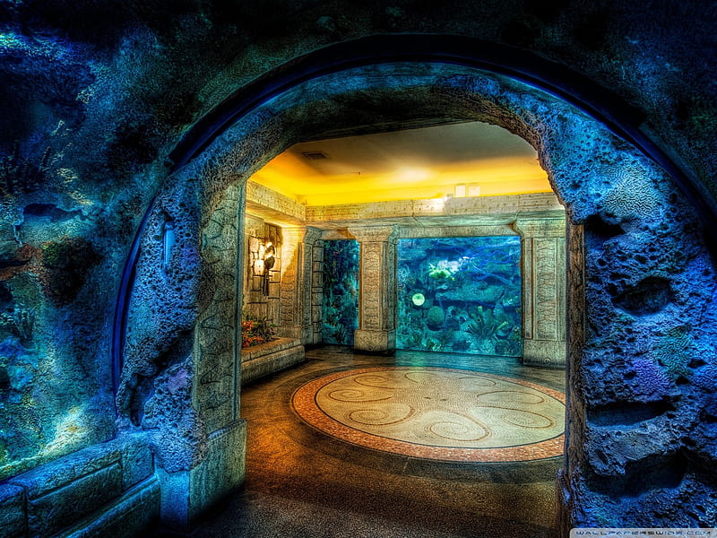 aquarium r-Architecture Decoration landscape, HD wallpaper