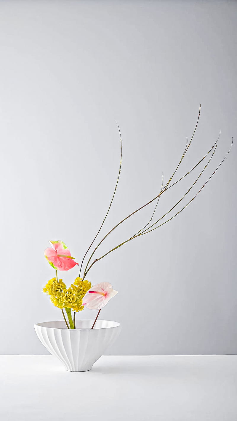 Simple, flower, flowers, lily, vase, white, HD phone wallpaper