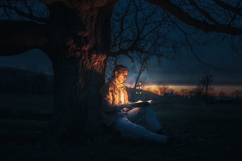 Man Sitting Under A Tree Reading A Book during Night Time, HD wallpaper