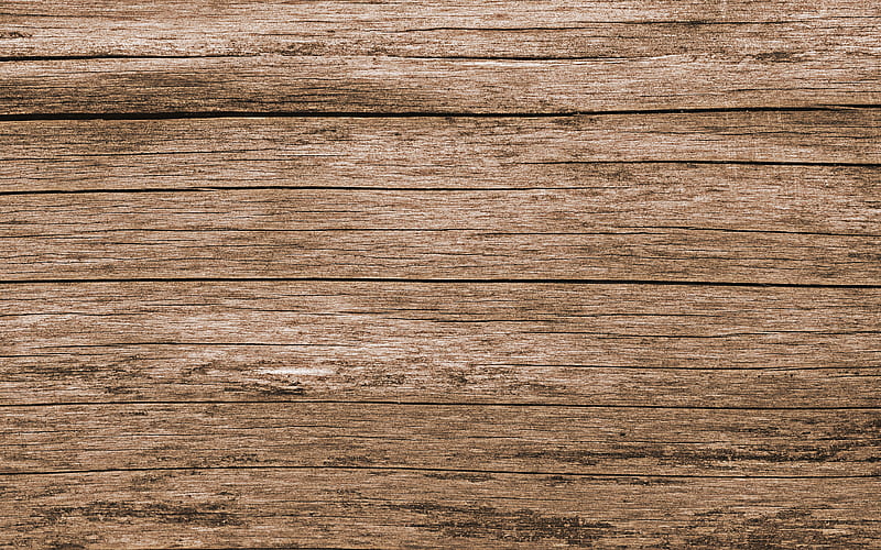light brown wooden texture macro, wooden structure, wooden backgrounds, wooden textures, brown backgrounds, brown wood, HD wallpaper