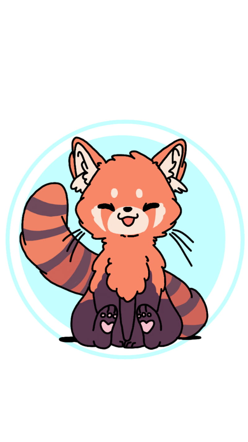 Kawaii red panda, cute, floofy, HD phone wallpaper | Peakpx