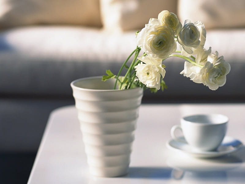 White flower, flower, mug, white, life, HD wallpaper | Peakpx