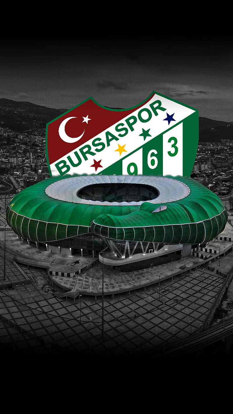 Bursaspor, crocodile, Teksas, White, green, Bursa, automotive wheel system, stadium, stadyum, football, timsah, HD phone wallpaper