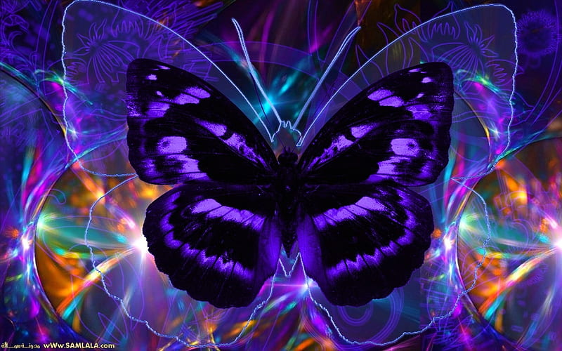 Lovely Butterfly, wings, flutter, purple, insects, HD wallpaper