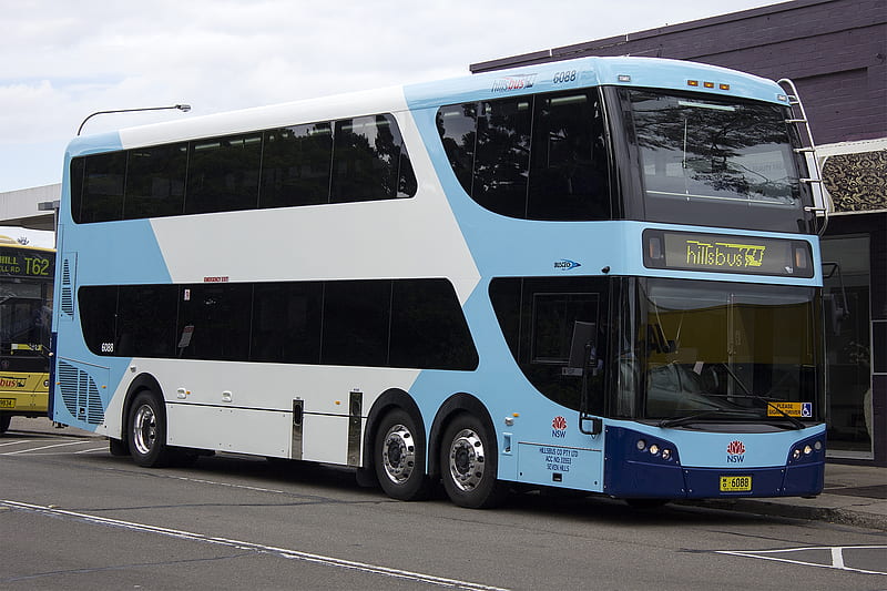transport nsw liveried, double, liveried, transport, decker, bus, HD wallpaper