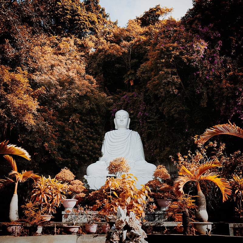 buddha, buddhism, harmony, sculpture, trees, plants, HD phone wallpaper