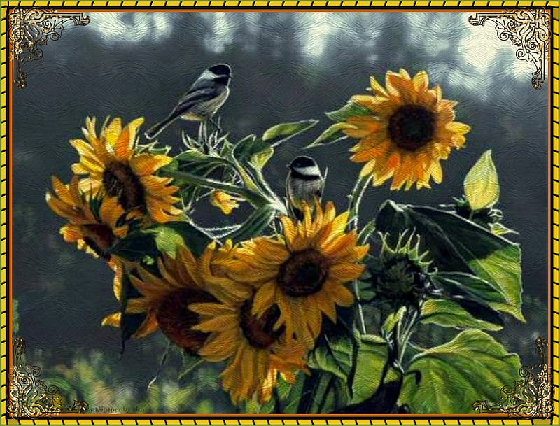 FOR EMA AT THANKSGIVING, fall, autumn, birds, new, sunflower, thanksgiving, HD wallpaper