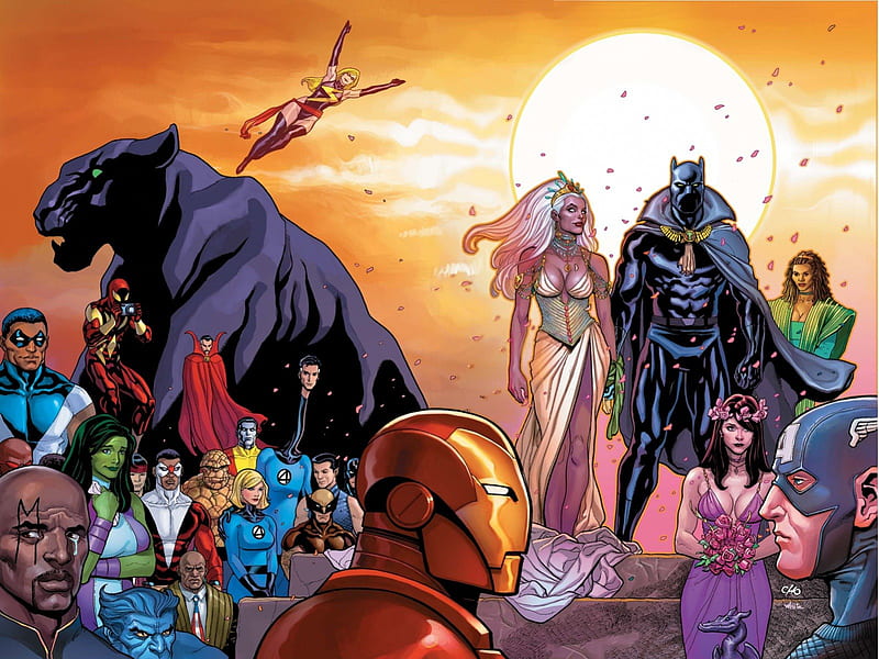 Black Panther Wedding, Avengers, Comics, Black Panther, Superheroes, X Men, Storm, Marvel, HD wallpaper