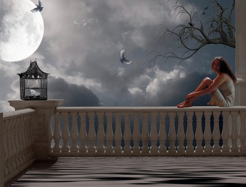 Captivity, moon, wait, girl, night, HD wallpaper