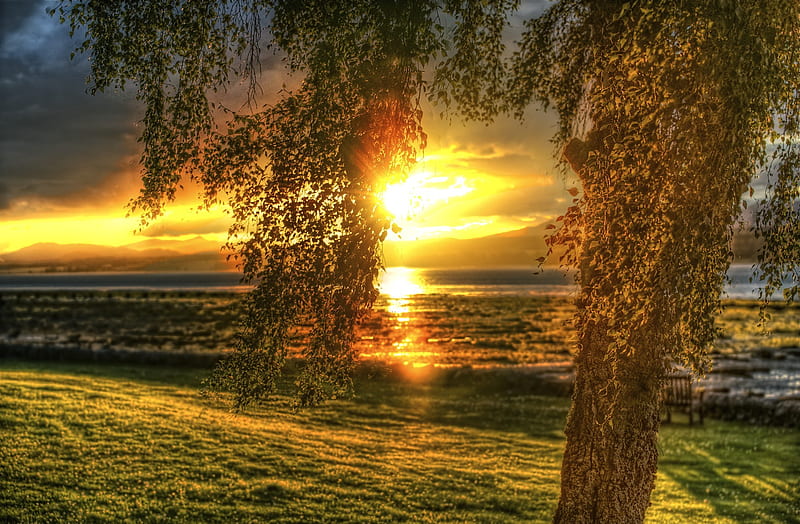 Plain View, sun, grass, high dynamic range, sundown, nice, gold, multicolor, creeks, bright, sunbeam, hills, brightness, sunrays, ambar, bonito, silver, leaves, green, amber, scenery, beije, blue, maroon, plain, mist, pond, r, nature, misty, branches, scene, yellow, magic, clouds, cenario, lightness, scenario, shadows, brilliant, beauty, sunrise, rivers, cena, golden, black, trees, sky, cool, awesome, sunshine, hop, landscape, colorful, brown, gray, sunny, trunks, valley, graphy, grasslands, sunsets, mirror, pink, light, amazing, multi-coloured, view, colors, leaf, magical, vibrant, colours, natural, HD wallpaper