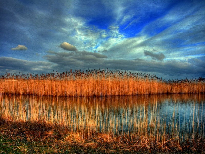 Wetlands Country, wetlands, country, HD wallpaper