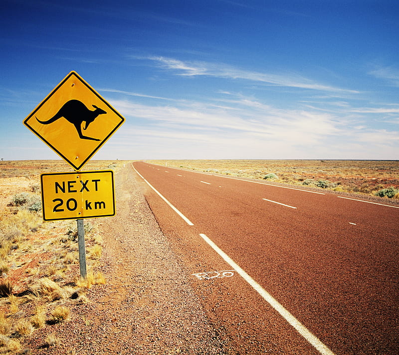 Aussie Path, australia, kangaroo, road, HD wallpaper
