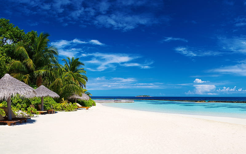 Maldives tropical island, beach, ocean, summer, paradise, HD wallpaper