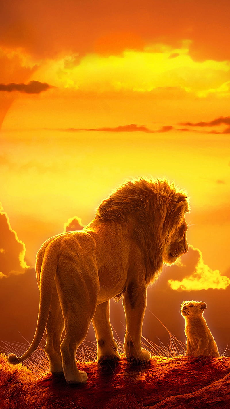The lion king, 2019, animation, land, lions, movie, sunset, HD phone wallpaper