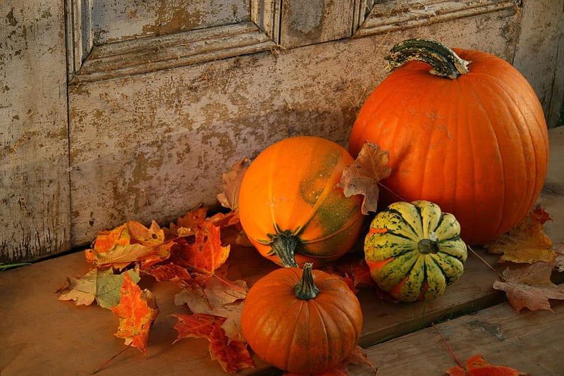 Hello Autumn, fall, autumn, orange, halloween, door, still life, leaves, graphy, gourd, pumpkin, HD wallpaper