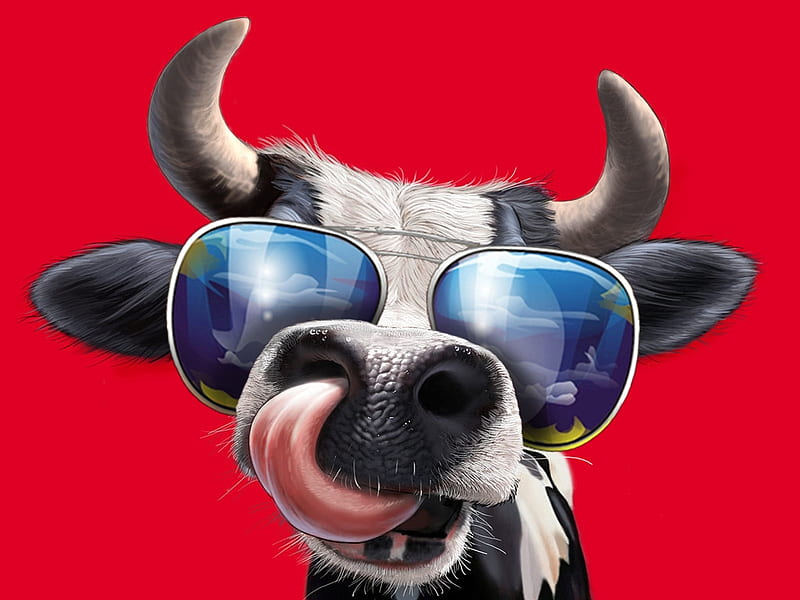 Cool cow, red, cow, tongue, horns, sunglasses, fantasy, cool, vara, summer, funny, blue, HD wallpaper