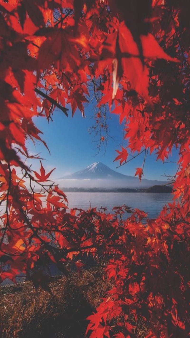 Lake kawaguchi, japan, HD phone wallpaper