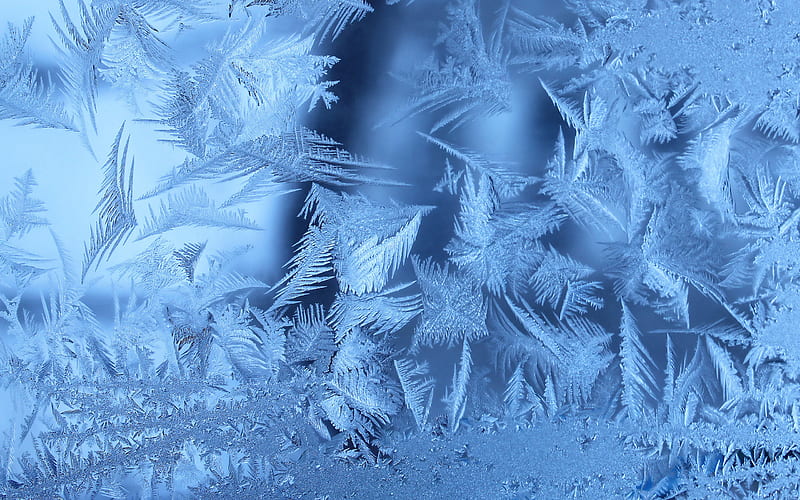 frost on glass, frost patterns, blue frost backgrund, frost textures, ice patterns, blue backgrunds, frost patterns on glass, HD wallpaper