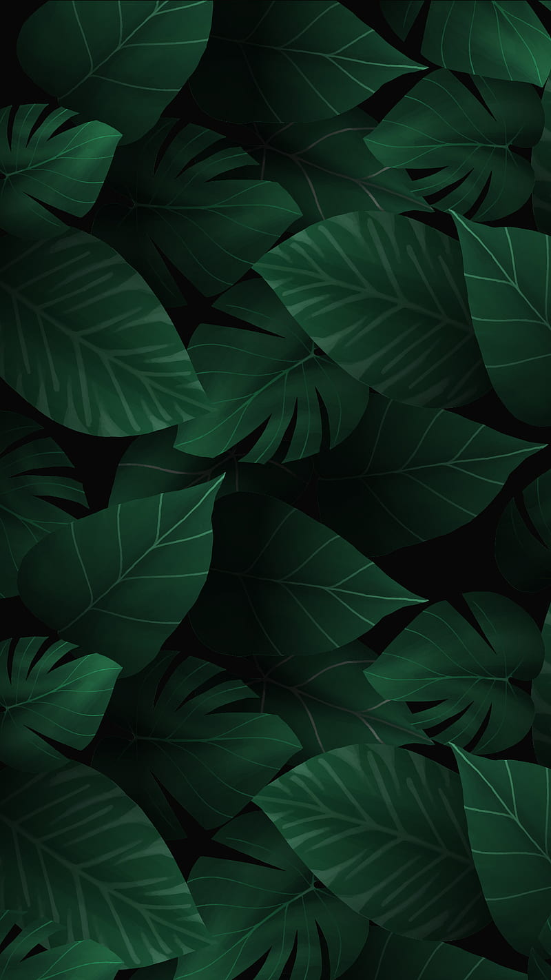 Dark Leaves, clover, green, leaf, nature, HD phone wallpaper | Peakpx