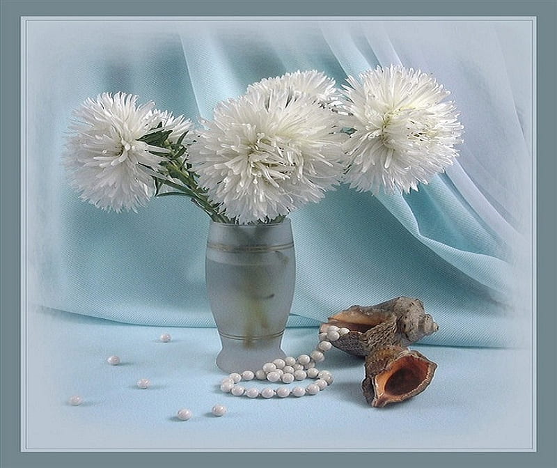 Cotton blue, vase, bonito, conch, silk, jewelry, flowers, pearls, shells, white, blue, HD wallpaper