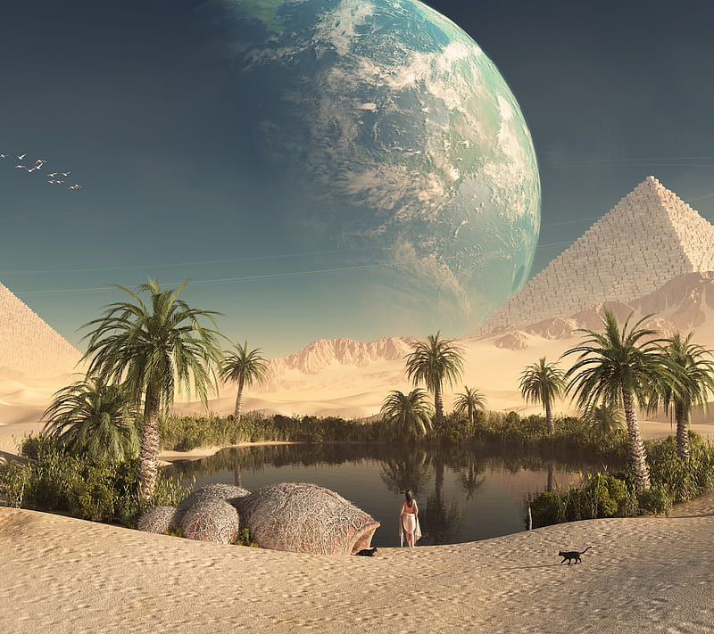 Oasis, desert, lake, palm, planet, pyramids, sand, HD wallpaper