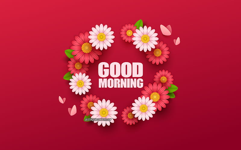 Good Morgning, purple floral background, flowers art, good morning  concepts, HD wallpaper | Peakpx