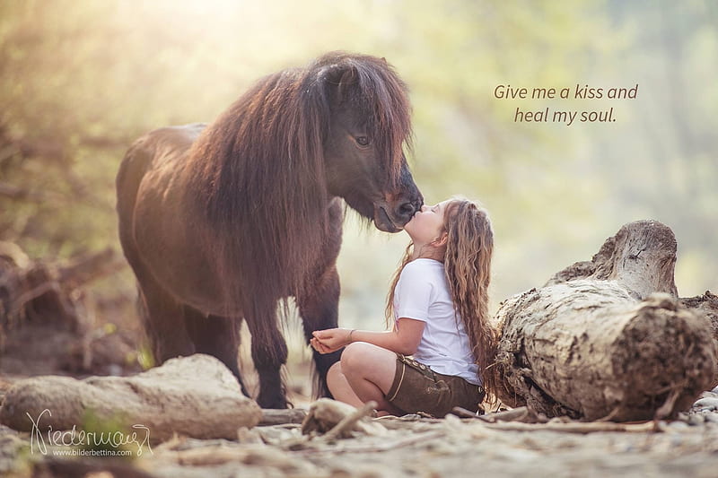 :), cal, little, girl, copil, child, horse, cat, kiss, card, HD wallpaper