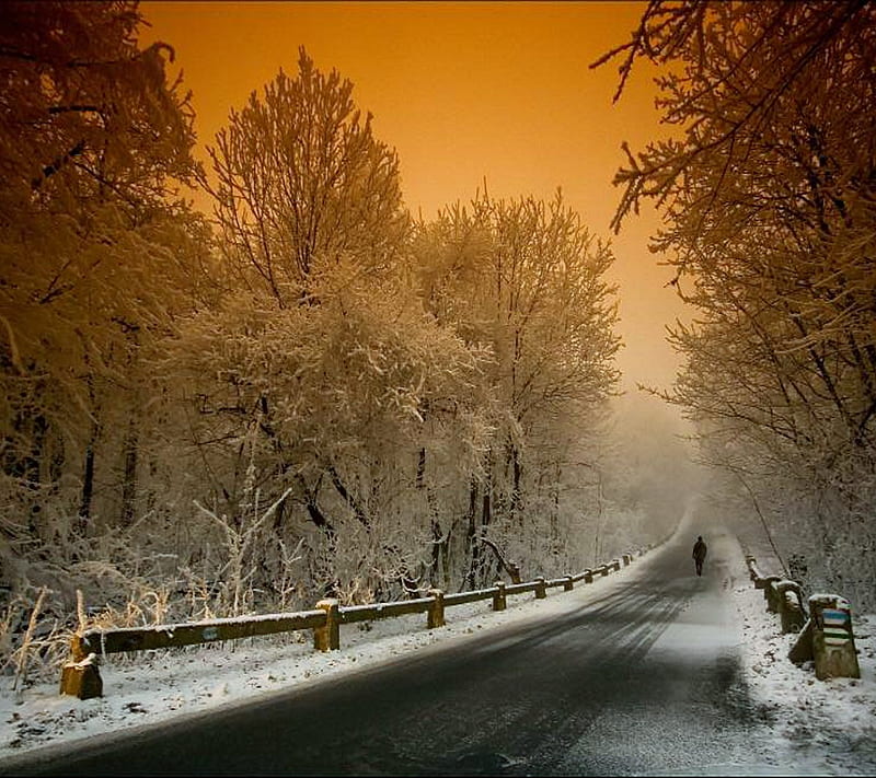 winter road, cold, glow, highway, sky, snow, street, sunset, trees, HD wallpaper