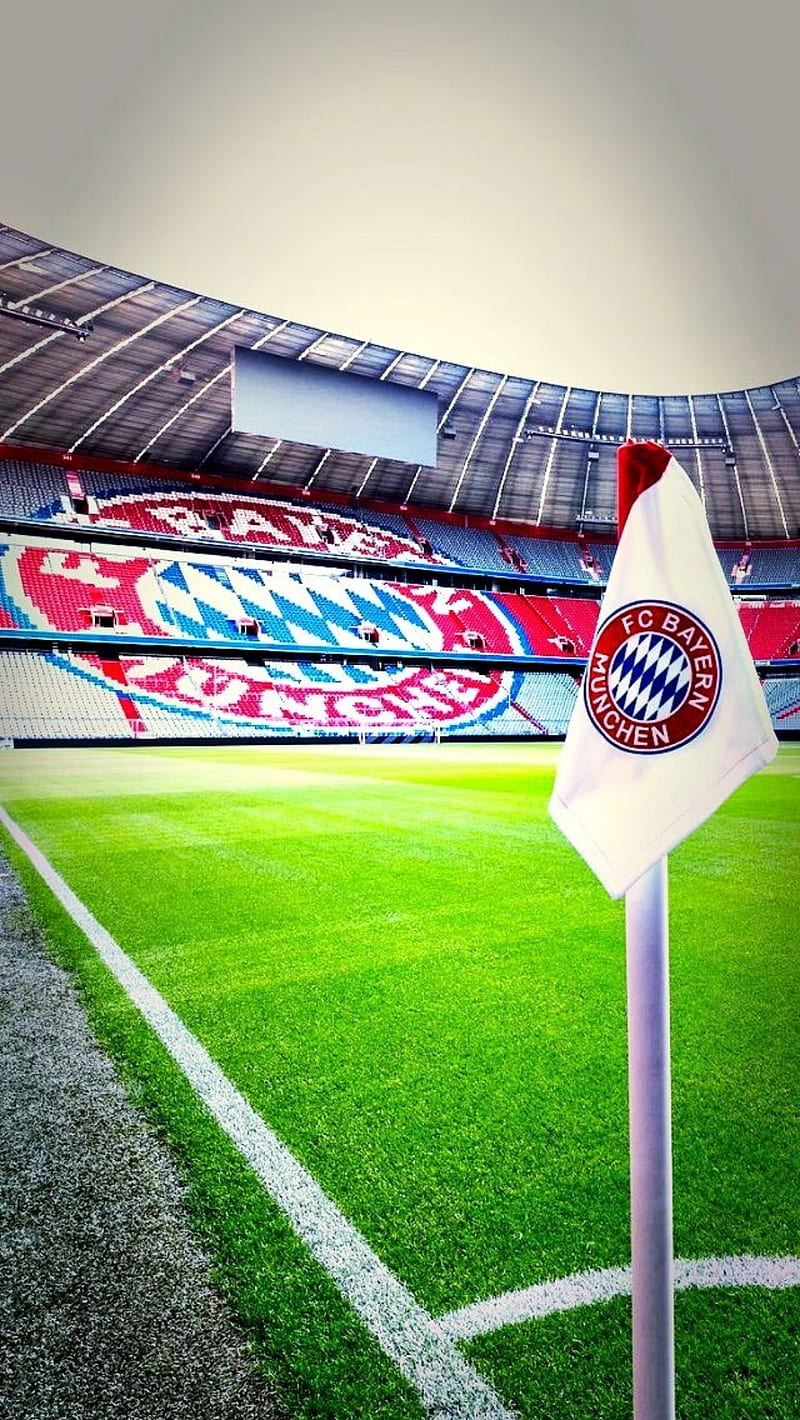 Bayern Munich, bayern munchen, football, lewandowski, soccer, sport, HD phone wallpaper