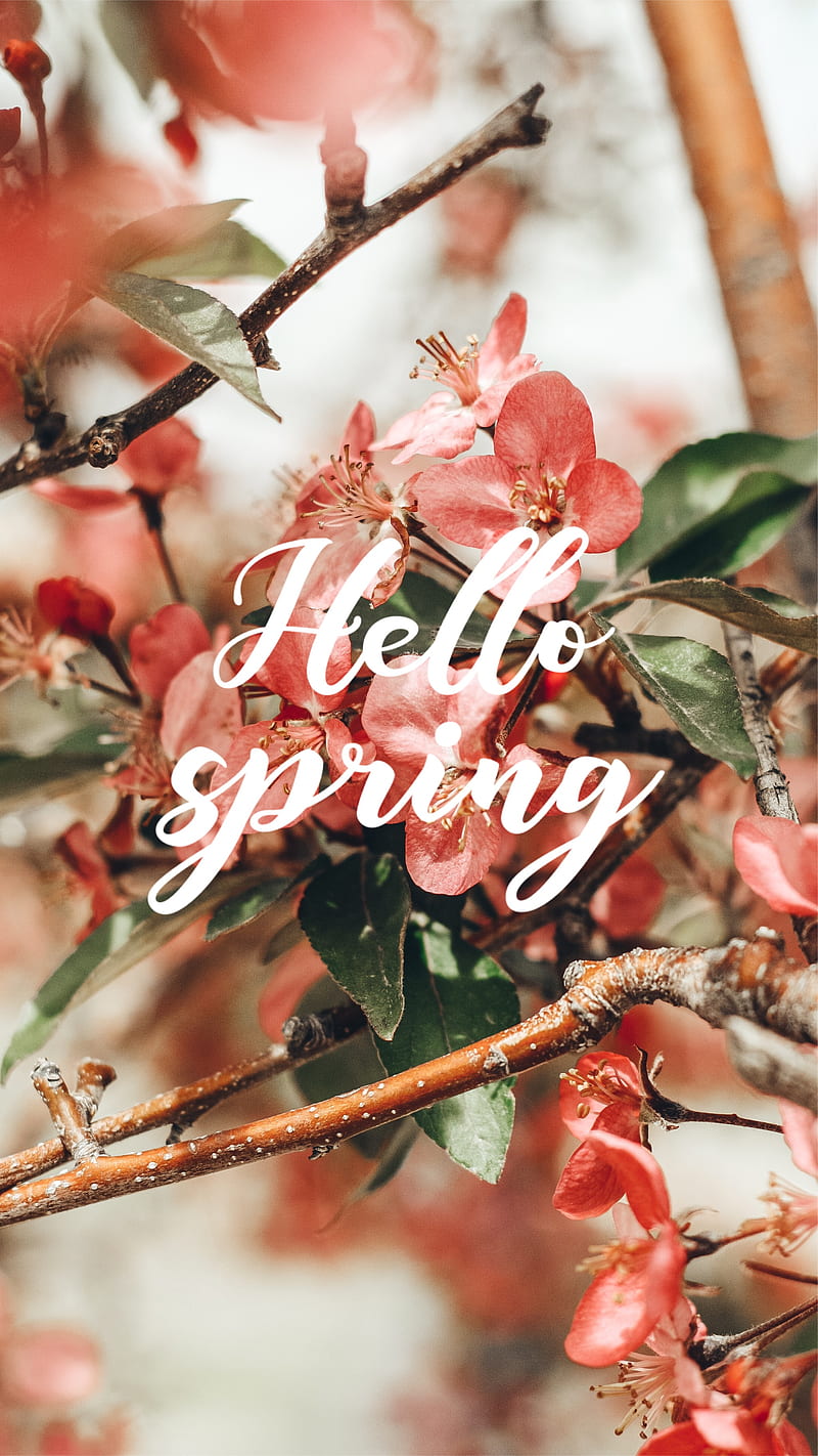 Mùa xuân đến rồi! Hãy chiêm ngưỡng những hình ảnh đầy sắc màu của bầu trời xanh, hoa tươi nở rộ và cảnh vật tươi đẹp khắp nơi. Chắc chắn bạn sẽ không thể cưỡng lại được sức hút của mùa xuân này!