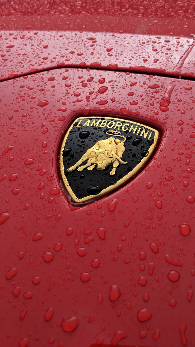 Red Lamborghini Car , red lamborghini, lamborghini car, sports car, logo, brand logo, HD phone wallpaper