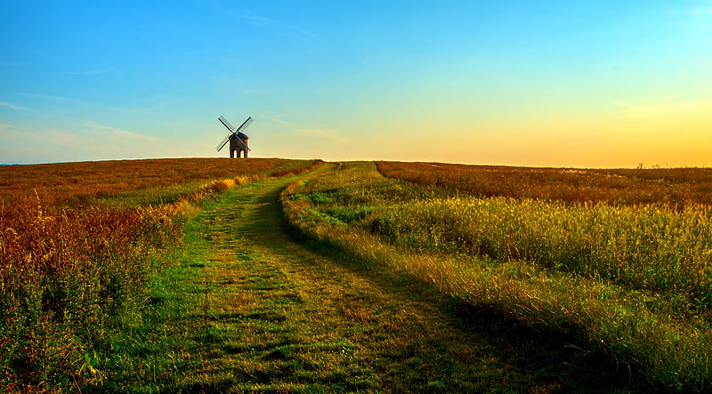 field, mill, horizon, summer, grass, sunset, HD wallpaper