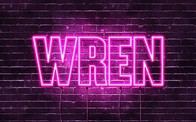 Wren with names, female names, Wren name, purple neon lights, horizontal text, with Wren name, HD wallpaper
