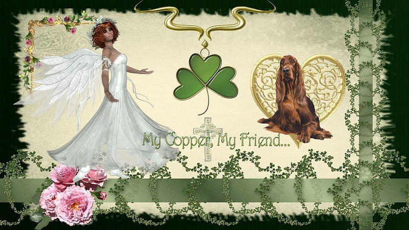 My Copper, My Friend, irish, ireland, angel, copper, prayer, irish setter, shamrock, green, clover, heaven, celtic, puppy, dog, HD wallpaper