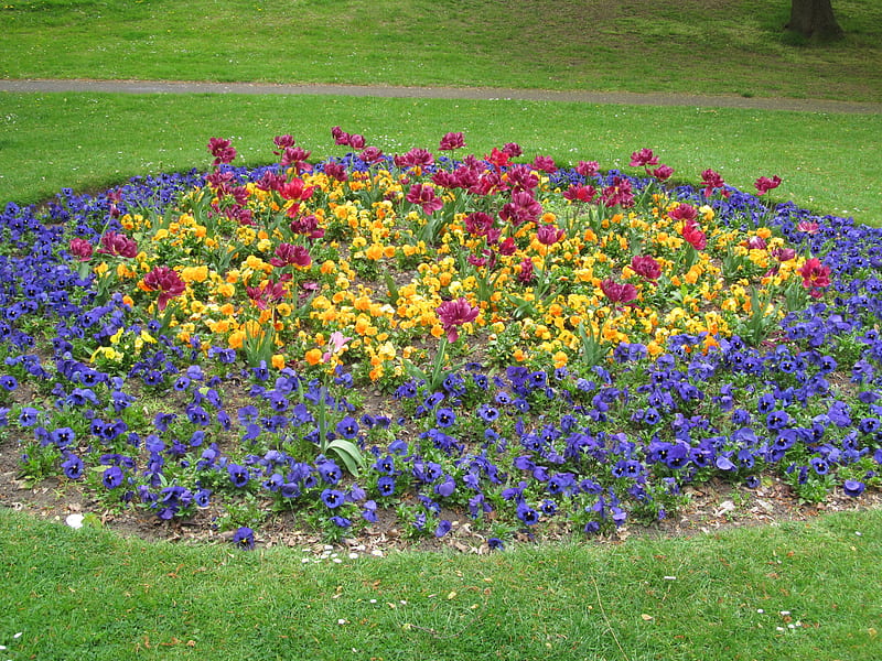 Park Flower Bed, Plants, Gardens, Blooms, Floral, Flowers, Beds, HD wallpaper