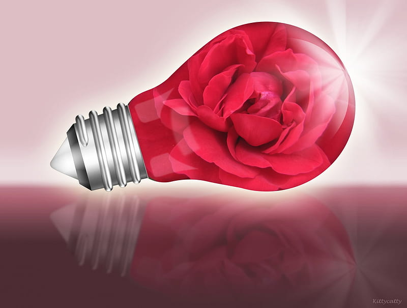 Light Bulb With Red Rose , red rose, rose, light bulb, love, 3d and cg, abstract, light, HD wallpaper