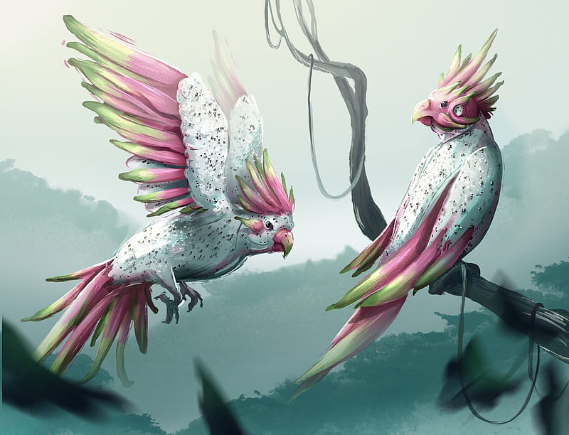 Dragon fruit parrots, pink, fantasy, art, burd, anne warnaar, dragon fruit, papagal, parrot, HD wallpaper