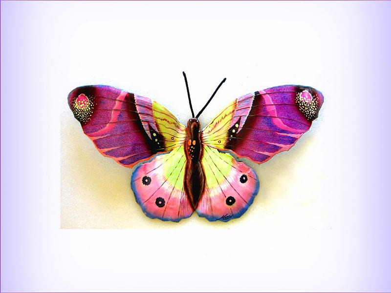 Deco butterfly, deco, butterfly, purple, yellow, pink, HD wallpaper