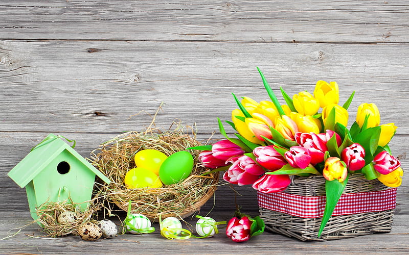 Floral Greetings, tulips, Easter, colors, flowers, blossoms, eggs, HD wallpaper