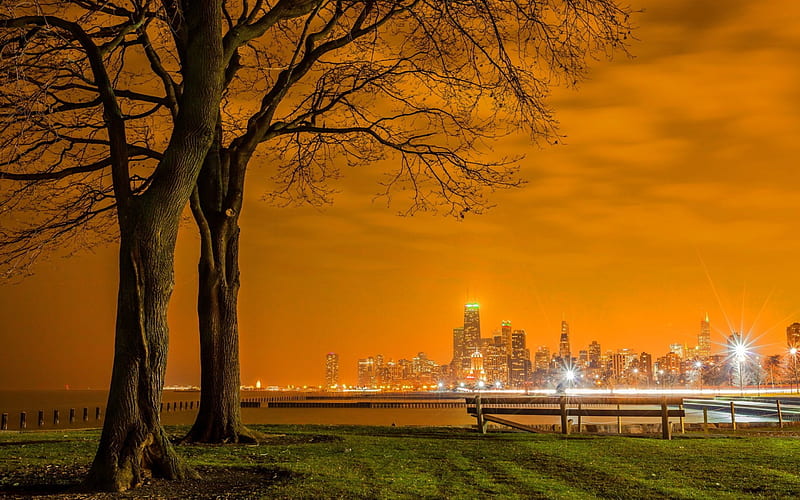 Lake Shore Drive in Chicago, cityscape, sunsets, chicago, nature, trees, sky, HD wallpaper