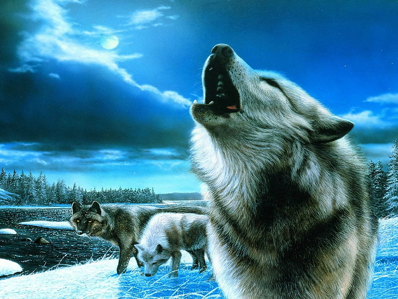 Los lobos aúllan, luna, nieve, hielo, lobos, aullando, invierno, Fondo de  pantalla HD | Peakpx