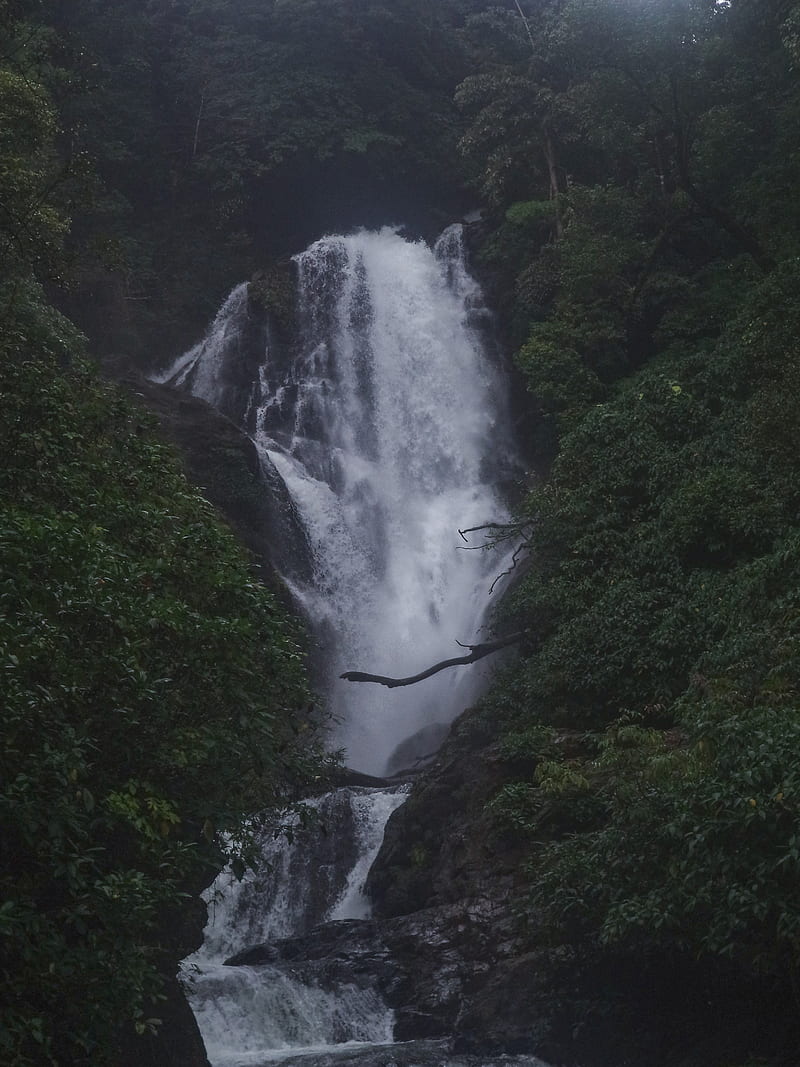 Glorious Waterfalls , falls, forest, india, karnataka, mountains, sahyadri, uttarakannada, water, western ghats, HD phone wallpaper