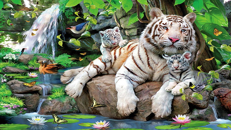 White Tiger With Cubs , Pond, White, Art, Butterfly, Birds, Tiger, Jungle, Painting, Rare, Cubs, HD wallpaper
